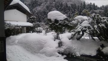 ���ꌧ�@�K�[�f�����[���{�H���X