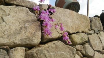 ����@�O�\�@���ߍ]�s�@��R�@���Á@�I���@�F���@�{�H��