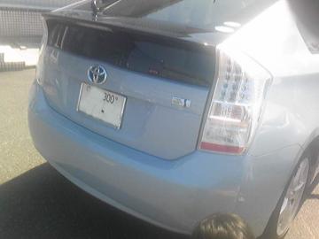 esencia�@(�L)���c��H�Ɓ@�L���@jabec���