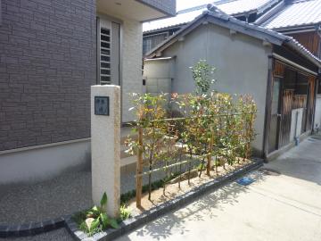 �Ζ咆