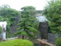 makikansei