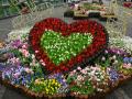 �n�[�g�̉�