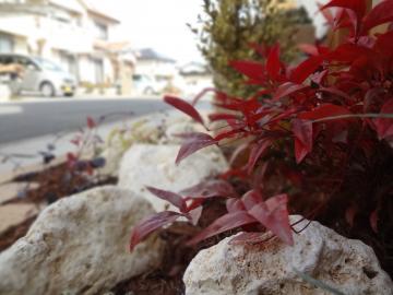 �I�J���i���e��