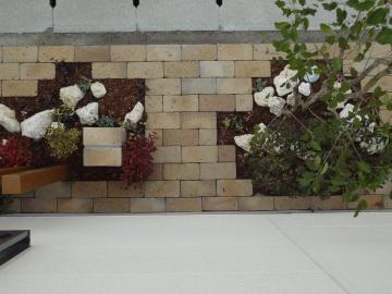 �����K��