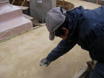 �X�e���V���T