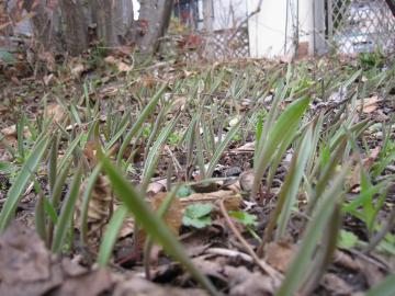 �`���[���b�v����