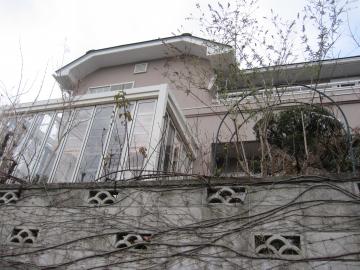 �W�[�}�̉�