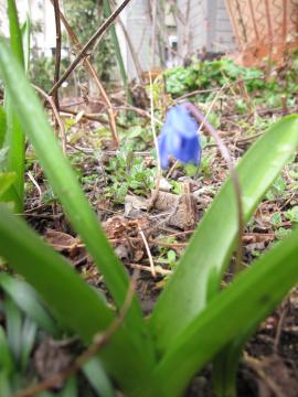 �������ȉ�