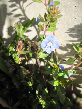 �������ȉ�