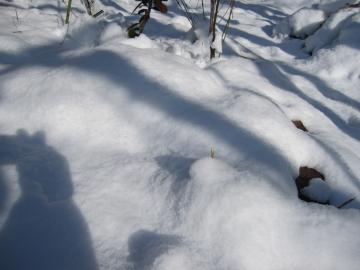 ��̉��@���X�J��