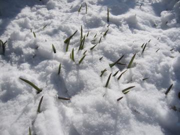 ��̉��@�`���[���b�v