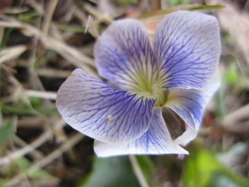 ��́@���݂�