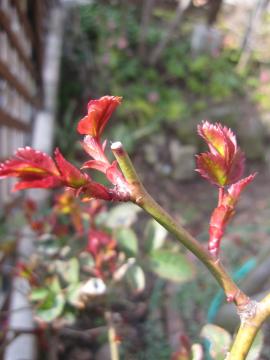 �t�H�[���X�^�b�t