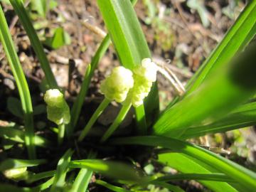 �������X�J��