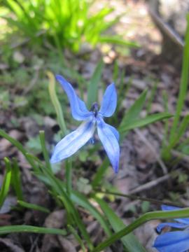 �����Ȑ���