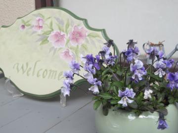 ���q����̒�