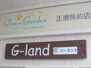 �W�[�����h