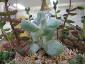 �����A��