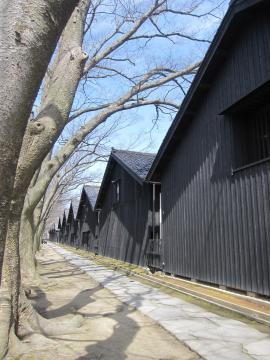 ���ǂ̑q��