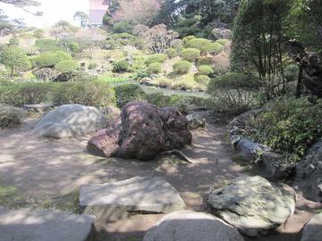 �{�Ԕ��p�Ԃ̒�