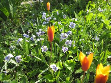 ��̃`���[���b�v