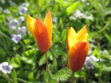 ��̃`���[���b�v