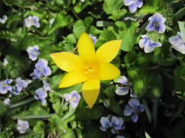 ��̃`���[���b�v