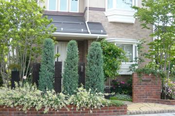 ���c�l�@�K�[�f��