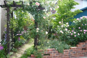 ���c�l�@�K�[�f��