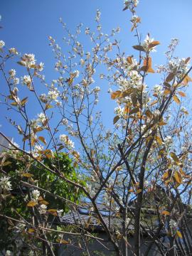 �W�����x���[