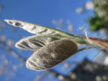 �W�����x���[