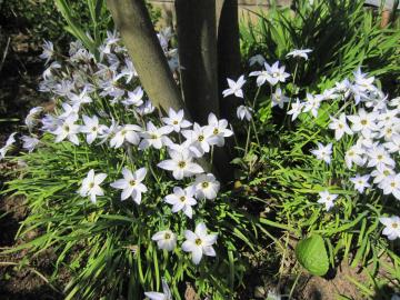 �W�����x���[