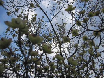 �n�i�~�Y�L