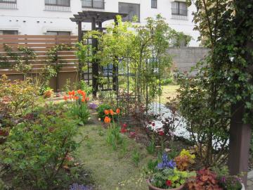 �}�C�e�B�[�E�b�h&�K�[�f��