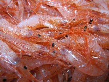 �����炦��