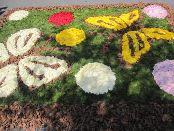 �ԃL�����p�X