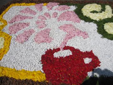 �ԃL�����p�X