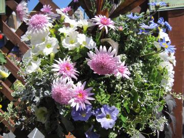 �ԉ�L�n���L���O