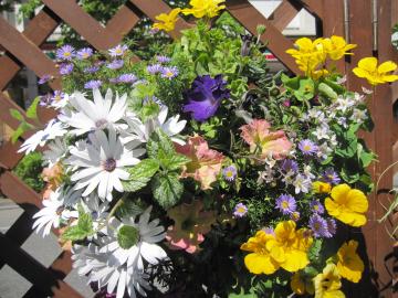 �ԉ�L�n���L���O