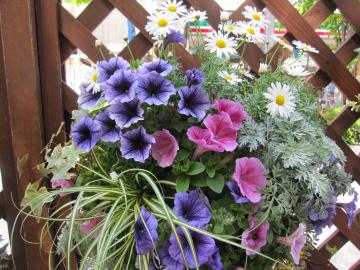 �ԉ�L�n���L���O