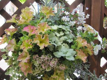 �ԉ�L�n���L���O