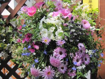 �ԉ�L�n���L���O