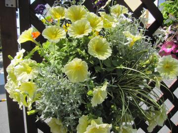 �ԉ�L�n���L���O