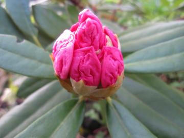 ���Ⴍ�Ȃ�