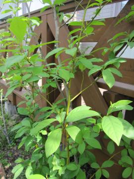 �N�����W