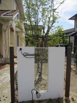 �W���G���O���X