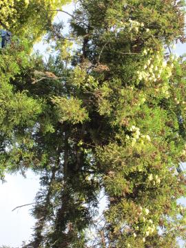 ���y���S������