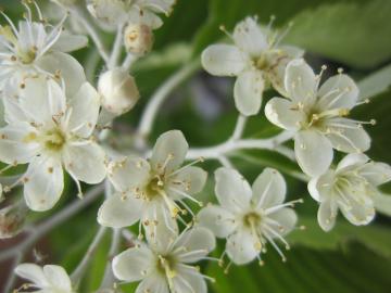 �������Ȃ�