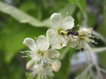 �������Ȃ�