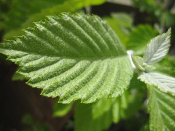 �������Ȃ�